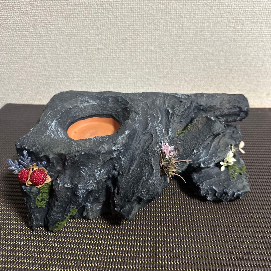 グラステラリウム4530その他飼育用品セット