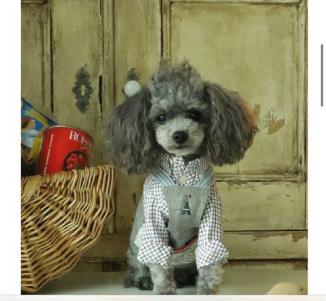 アトリエgg エプロン　グロッサリーエプロン