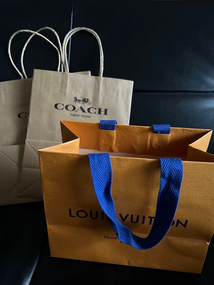 LOUIS VUITTON & COACH (２枚) ショッパー