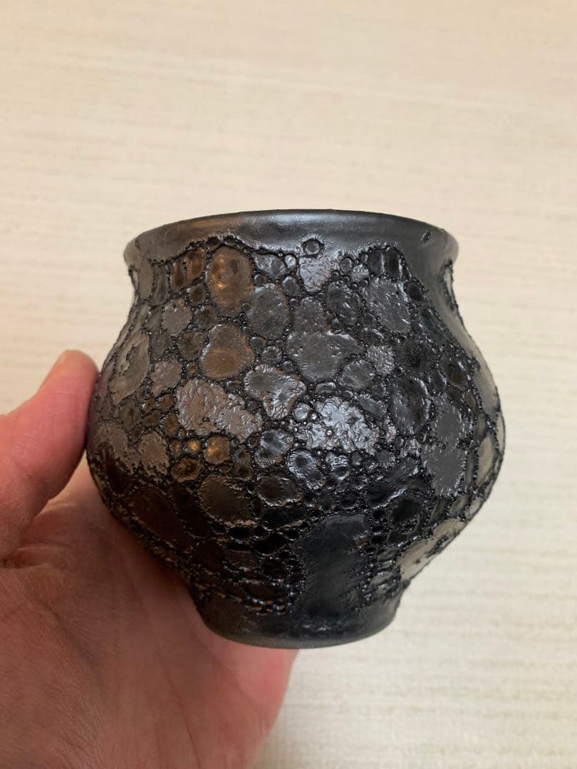 中川智治 鉢 塊根植物 コーデックス用【新品未使用】