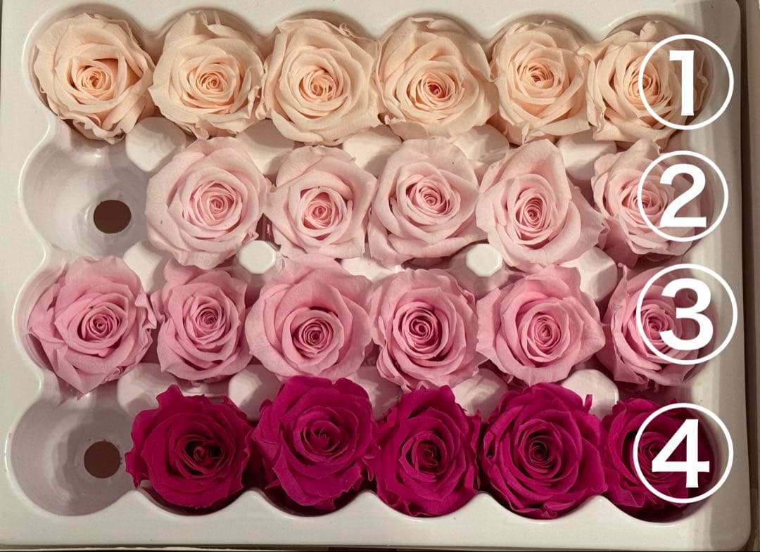 薔薇プリザーブドフラワー☆径2.0〜2.5cm★5個で¥300★