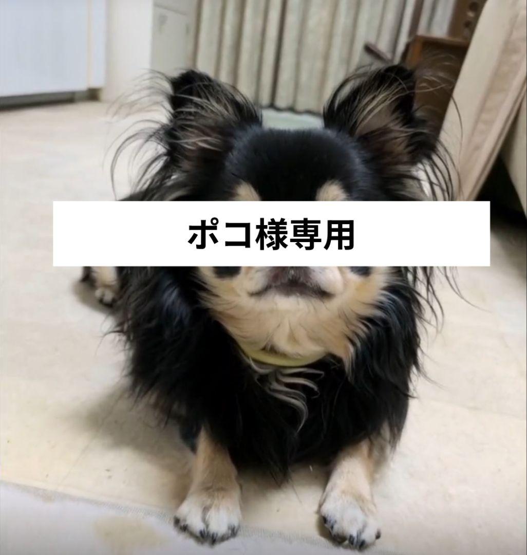 ポコMCM 　 パスポートケースオレンジ　モノグラム