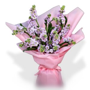 Matthiola flower bouquet
