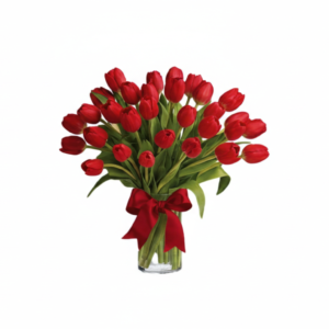 31 Red Tulips Vase